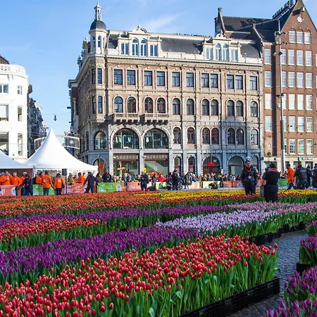 Maison Elle ホテル