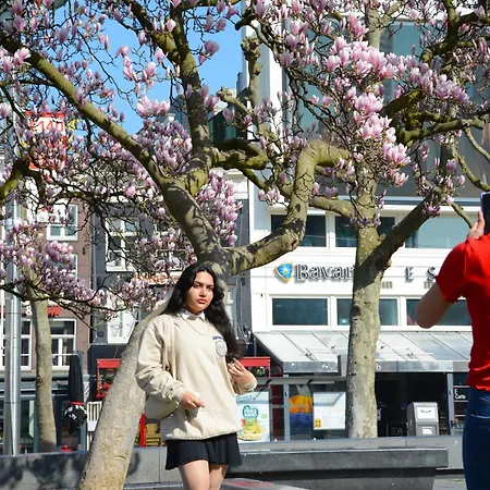 ホテル Maison Elle 4*